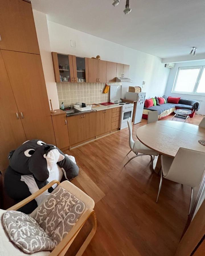 Apartments D&D Požarevac Extérieur photo